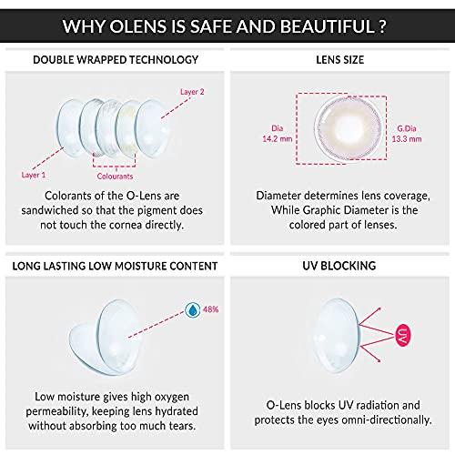 O-LENS O-LENS 1Day Russian Smoky Grey - Coloured Contact Lens (Daily Disposable, -5.00 / 10pcs / Grey), Natural Looking & Comfy Eye Color Lenses