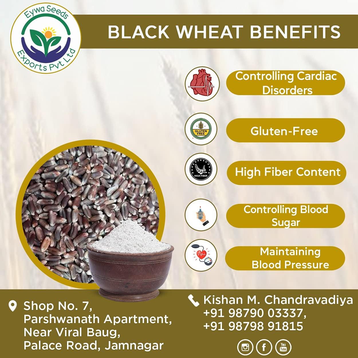 Eywa Seeds & Exports Pvt Ltd BLACK WHEAT FLOURS (1 KG) for eating and cooking | kale gehu ka atta | Produce of India from Organic Farms | BY EYWA