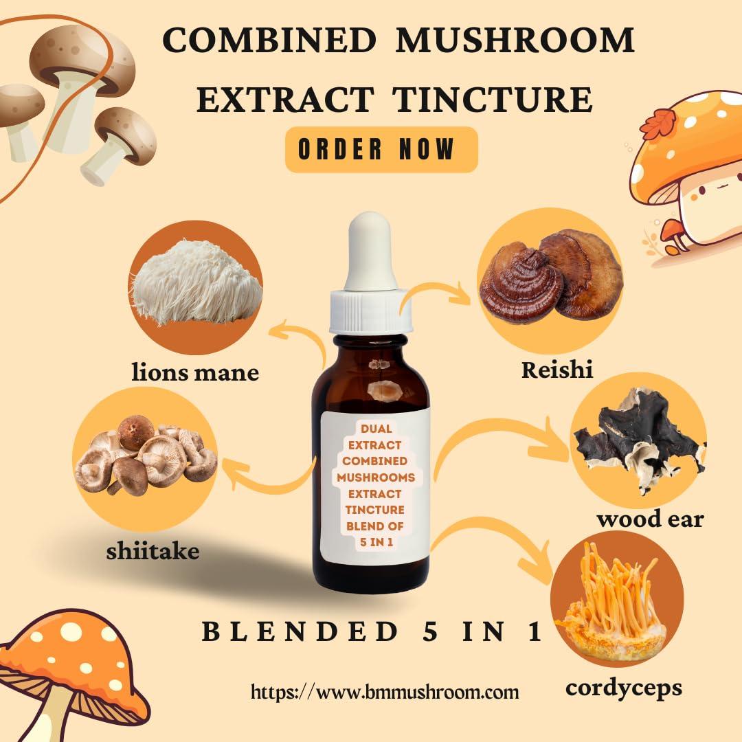 BM ENTEPRRISE Mushroom Extract Tincture | Multi-Mushroom Blend | 30ml Bottle (60 Servings) (Five in One) Cordyceps militaris, Lion\'s Mane, Reishi, Shiitake, and Wood Ear Mushrooms