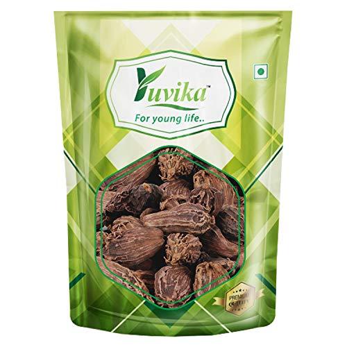 Yuvika YUVIKA Elaichi Badi - Elachi Badi - Badi Elaichi - Elettaria cardamomum - Black Cardamom (100 Grams)