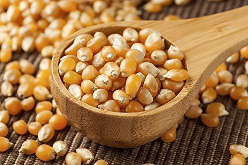 FreshoCartz FreshoCartzPopcorn Kernel Seeds | Makki Seeds | Makka Seeds | Corn Seeds | 100% Popping Kernels (Extra Soft Popcorn Makka | Makai ) (250gm)