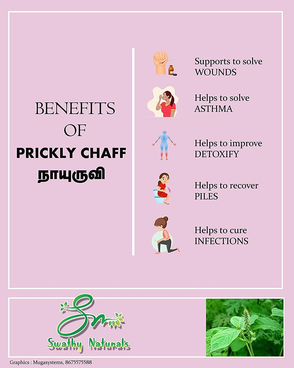 Swathy Swathy Naturals Nayuruvi Powder/Apamarg powder/Uttareni powder/Achyranthes Aspera