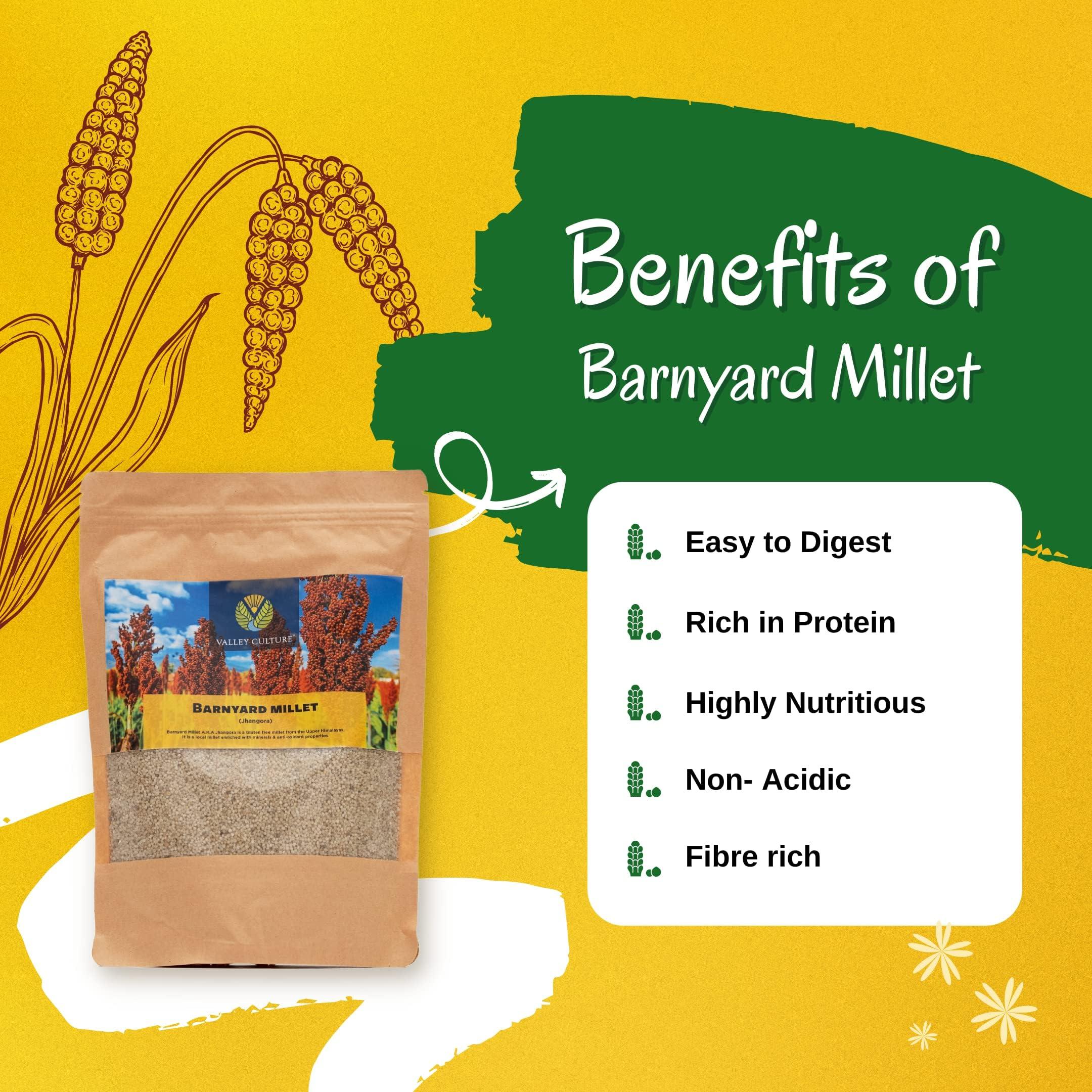 Promifun Promifun Bunion Cushions and Protectors, 12 Pieces of Bunion Pads and Cushions, Bunion Corrector for Big Toe, Relieve Foot Pain from Friction, Rubbing and Pressure