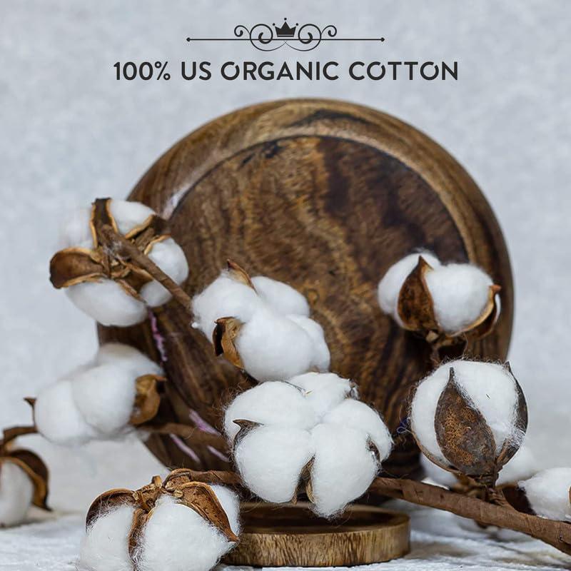 ARGONIUM ELON Panty Liners Daily Use, Bamboo Ultra-thin Anti-Bacterial Anion Technology, Protection for Pre &Post-Period Use, Guards Against Leakage, Discharge and Rashes, Non-Period Days & Spotting |180MM| Pack of 24 |