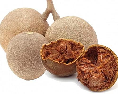 VS Products VS Products Dried Vilvam Palam, 100g, Belgiri fruit Dried, Bael Fruit, Aegle marmelos, Bilva fruit, Kuvalam, Dried Wood Apple, Helpful In Cholesterol (Pack of 1 X 100g)