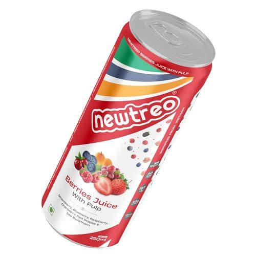 Newtreo Newtreo Berries Juice With Pulp | Imported from Vietnam | Strawberry, Blueberry, Raspberry, Cranberry, Red Grapes & Sea Buckthorn Juice | 12 x 250ml cans | No concentrates or preservatives added
