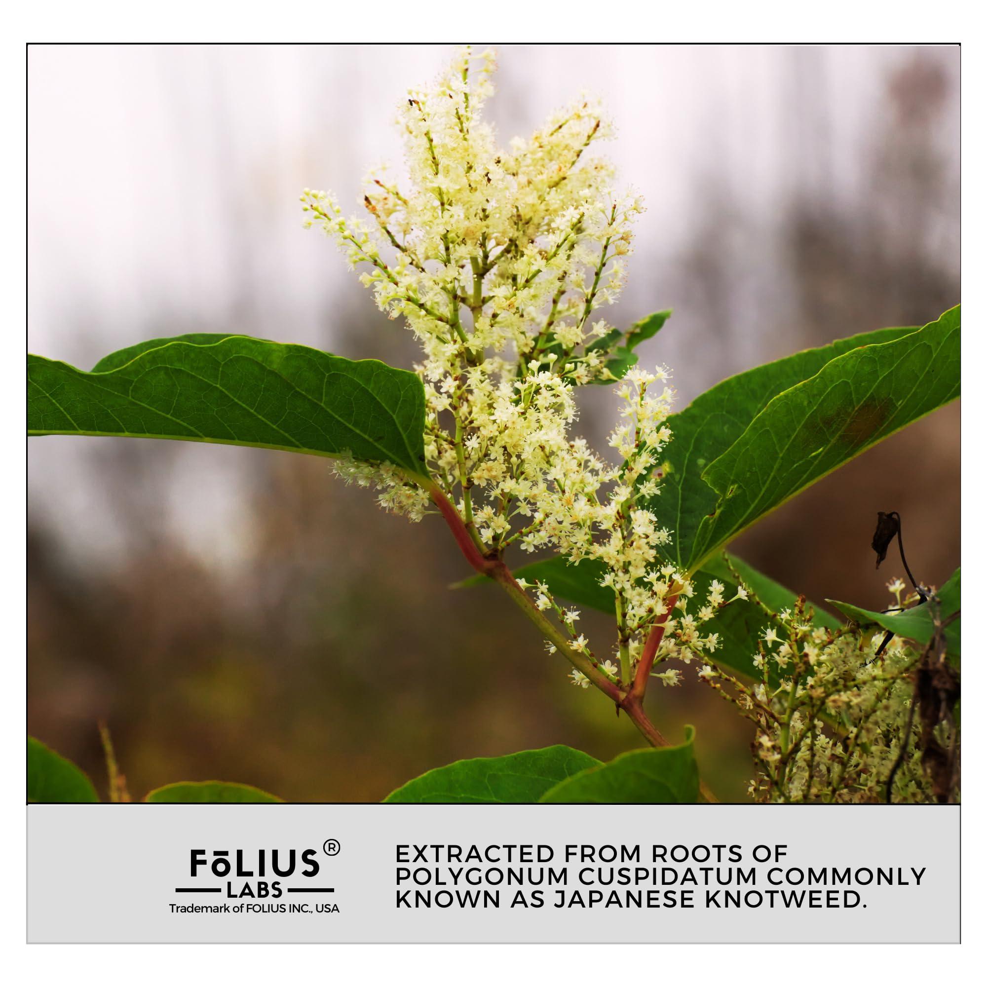 FOLIUS LABS FOLIUS LABS Ultra High Purity Resveratrol Capsules - 99% Trans-Resveratrol - Japanese Knotweed Extract - Support Immunity, Support Healthy Aging - 60 Caps Reservatrol Supplement