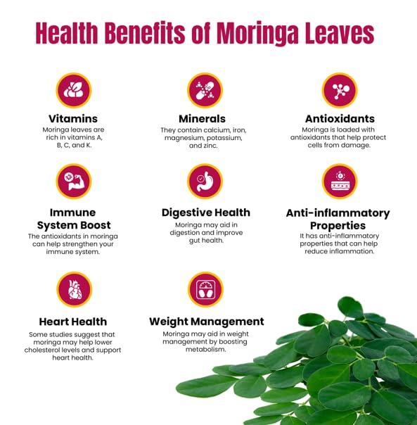 Ramadevi FOODS Ramadevi FOODS Drumstick leaves Spicy Podi/Moringa Powder/Munagaku karam - Without Garlic | Size - 200gm