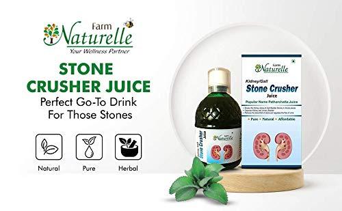 Farm Naturelle Farm Naturelle-Most Effective Ayurvedic Kidney stone crusher, breaker juice (Patharchatta juice)-Combination of Patharchatta and Gokhru Beej to clean Kidney of blockages-1+1 Free-2x400ml+ 2x55g Herbs Infused Forest Honey