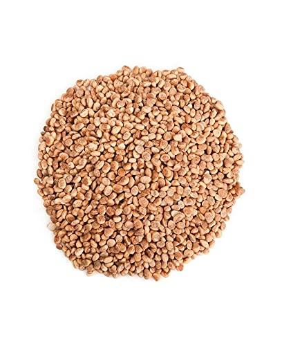 Ancy Nutwiz Nuts and Seeds (Almondette Seeds/ Chironji 800g)