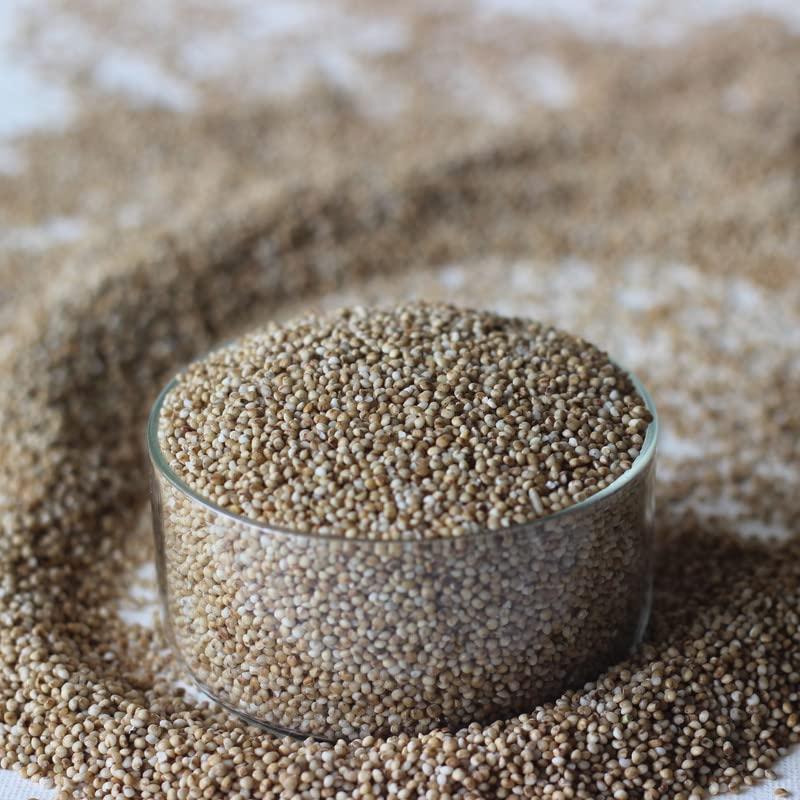 Pure Tree Pure Tree Certified Organic Kodo Millet | 900 g | Kodo Millet Arikelu Organic Millets | Cow Grass Gluten-Free Kodra Millet | Millet Rice Unpolished Millets For Upma, Dosa