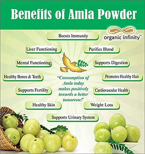 organic infinity Organic Infinity Amla Powder (Phyllanthus Emblica/Indian Gooseberry) (Primium) - 500 GM X 2 = 1 KG by Organic Infinity