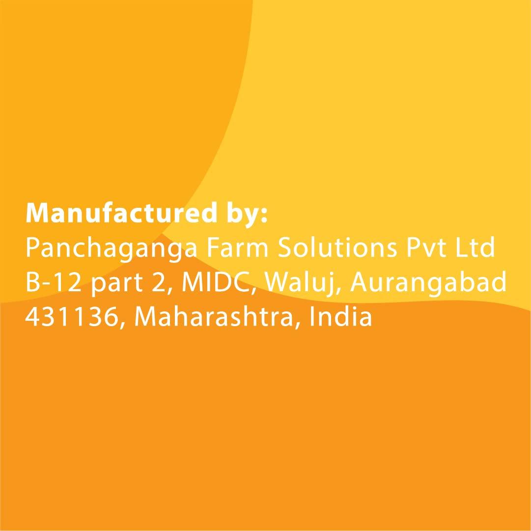 gudworld Jaggery Cubes | 750 Gm Jaggery Bites | Small Cube Bite Size | Gud Jaggery 5 gm Cube Bites | Desi Sugar Alternative for Coffee Chai and Beverages | Natural Chemical Free (250 gm x Pack of 3) by GudWorld