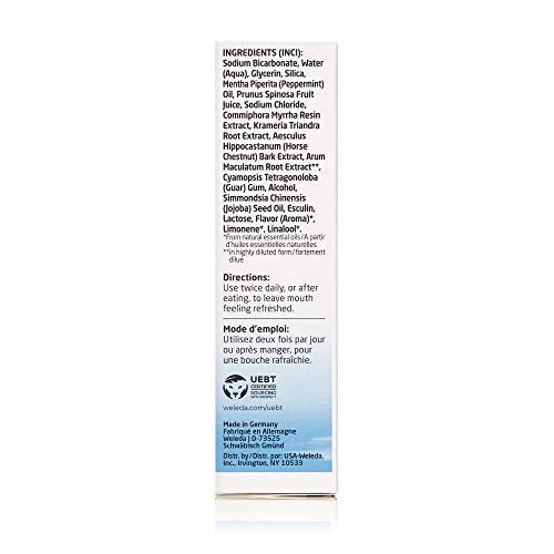 Weleda Weleda Natural Salt Toothpaste- 2.5 oz