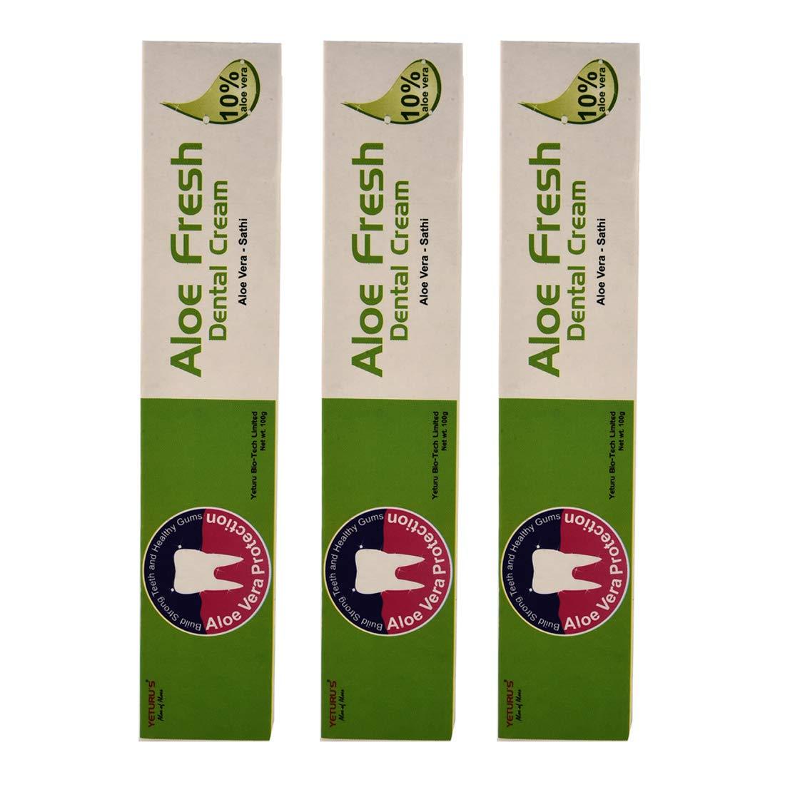 Yeturu's Yeturu's Aloe Fresh Dental Cream (Aloe Vera 10%) 100gms (Pack of 3)