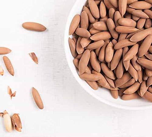 Go Vegan Go Vegan Pine Nuts With Shell - 200gm | Chilgoza Inshell Dry Fruit, Pine Seeds Jambo Size [Jar Pack]