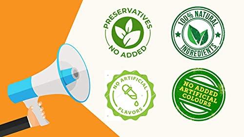 HEALTHY PANDA HEALTHY PANDA 100% Natural Pudina Chutney Power / Mint Leaves Chutney Powder (100 g x 4)