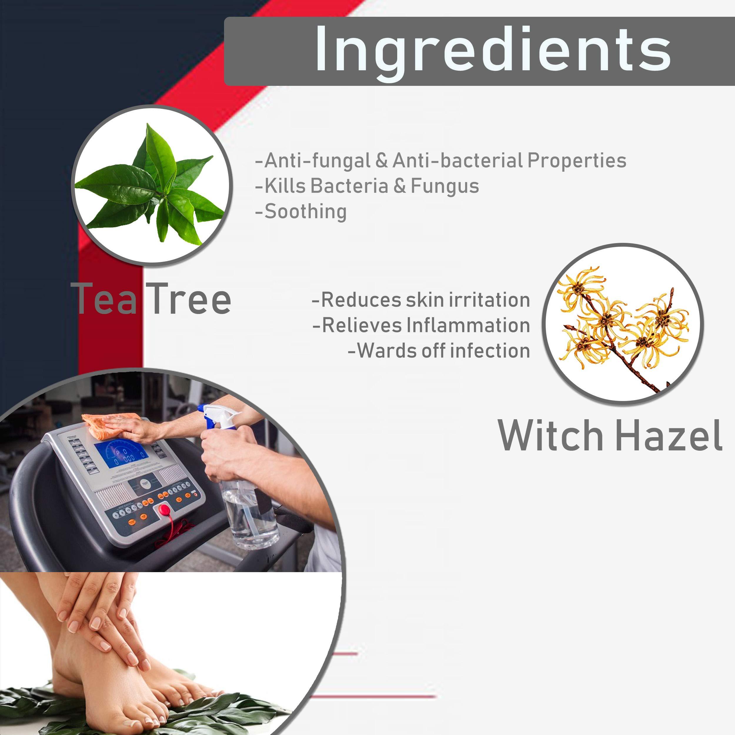 Roxanne Roxanne Anti-Bacterial Surface and Hand Spray Enriched with Tea Tree and Witch Hazel Antibacterial Antiseptic 99.9% Effective Germ-Killing (Pack of 2)