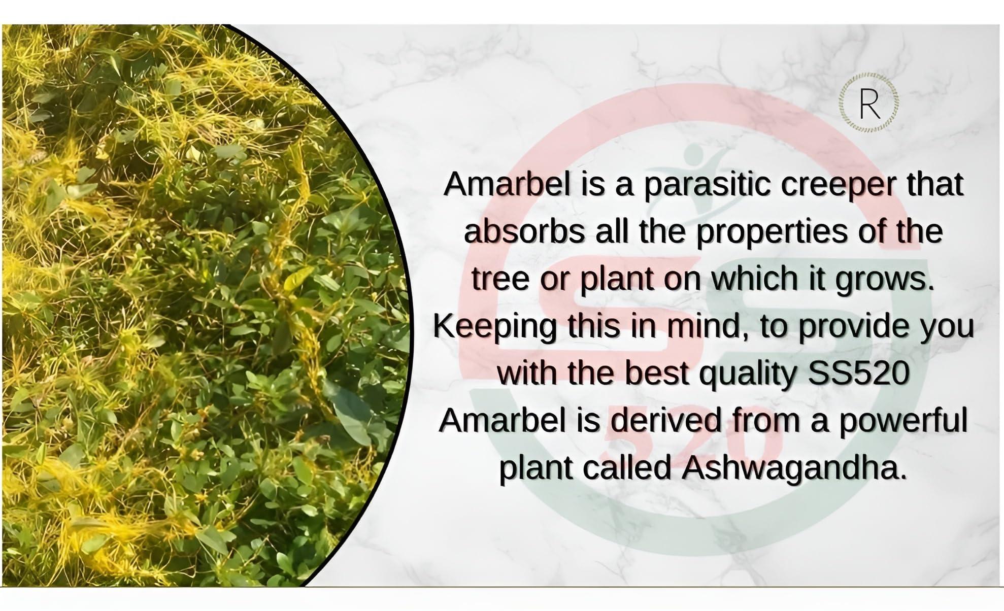 SS520 SS520 Amar Bel 200g. Amarbel AkashBel Swarn lata Afteeyun Aftimoon Dodder Cuscuta reflexa