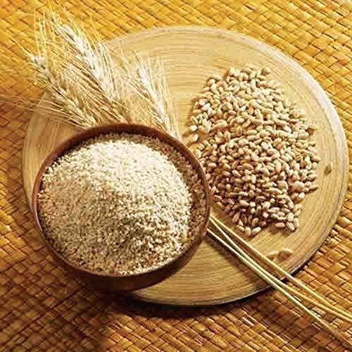 RGT ORGANICS RGT Organics Barley Dalia | Jo ka Daliya | Jau Ka Daliya | Jao dalia 200Gm