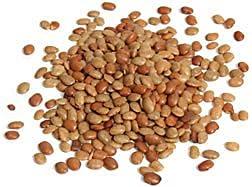 SR Foods SR Foods Special White Channa & Horse Gram Dal Combo 1Kg( Each 500g ) | Kondai Kadalai | Saphed Chickpeas | Karuppu Sundal | Kulthi Dal ( Kulatha ) | Kollu Paruppu