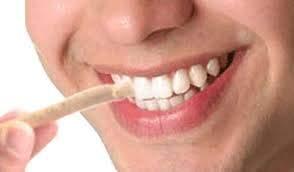 R P Enterprises Organic ll ayurvedic ll Babool Datun ll Manual Tooth Brush II Chewing Stick for Healthy and Strong Teeth for regular use (31)