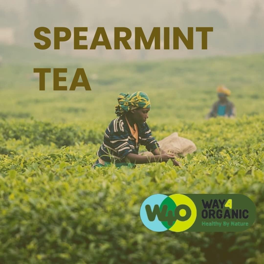 WAY 4 ORGANIC W4O WAY 4 ORGANIC W4O Spearmint Tea 100 g in Zip lock pouch | Good Anti Oxidant | Loose Leaf Tea