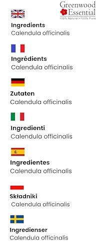 Dr.NL Natrum phosphoricum 6X 20gm Dr Reckeweg Germany (Pack of 3)