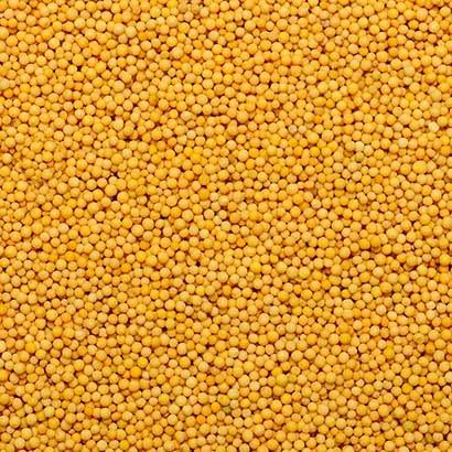 SSKE SSKE Yellow Mustard / Peeli Sarso / Peeli Rai 200 g