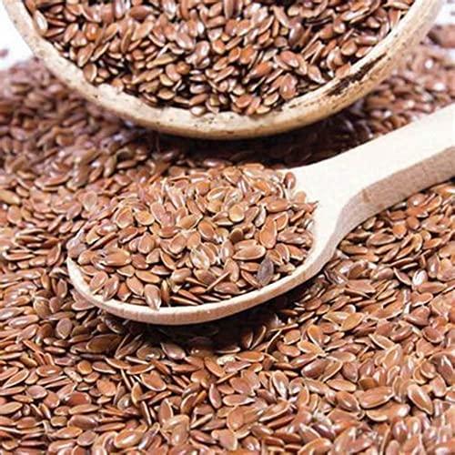 RAW DIET Raw Diet Flax Seed 250gm - Diet Food | Flax Seeds for Eating - 250GM