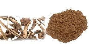 YAMKAY YAMKAY Siru Theku Thekku Clerodendrum Serratum Bharangi Gantubarangee Canttubrarangee Cheru Thekku Powder 100g m