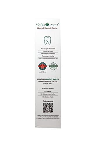 Netsurf Herbs & More Herbal Dental Paste 125g (Pack Of 3)
