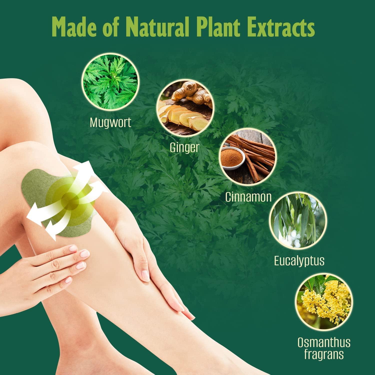 OAN OAN Knee Pain Relief Patches, Wormwood Pain Relief Patches, Knee Relief Patches Kit Quick Relief of Pains for Knee, Back, Neck, Shoulder, Waist (Pack of 10)