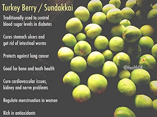 Seema Seema Sun Dried Turkey Berry, 350 Grams (sundakkai Vathal)