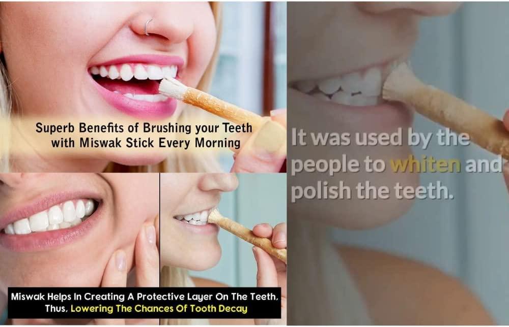 Billion Deals Natural Traditional Miswak (sewak) Peelu Chewing Stick Toothbrush for Whiter Teeth (3)