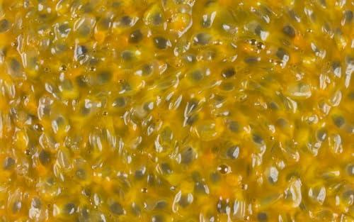 Generic Midday Kerala Passion Fruit Concentrate, | Passion fruit pulp with seeds | Sugarless | (100 ml)