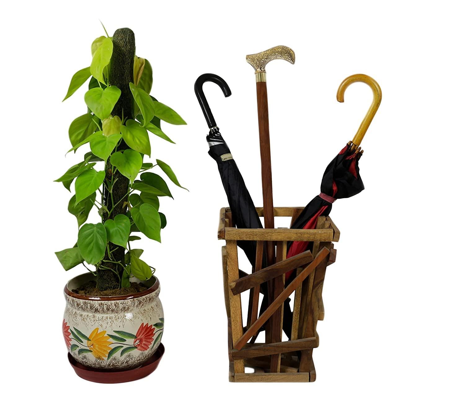 NavaFresh Basics Rana, Handmade Wooden Canes and Walking Sticks with Floral Leaf Brass (Kashmiri) Handle for Men (Brown, 36 Inches)