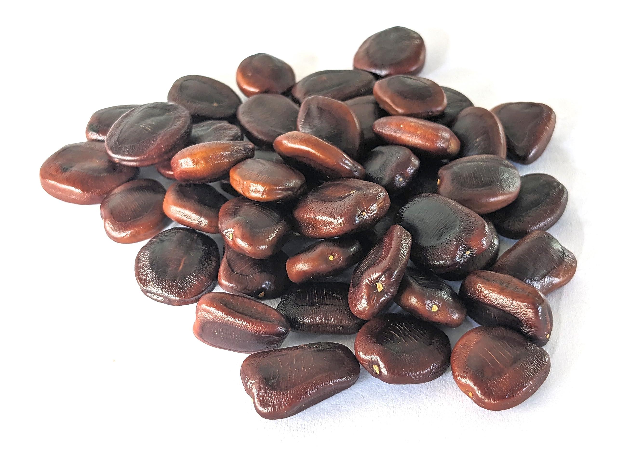 Generic PT Tamarind Seeds - New Fresh and Damage checked Seeds | First Quality | - (1Kg)