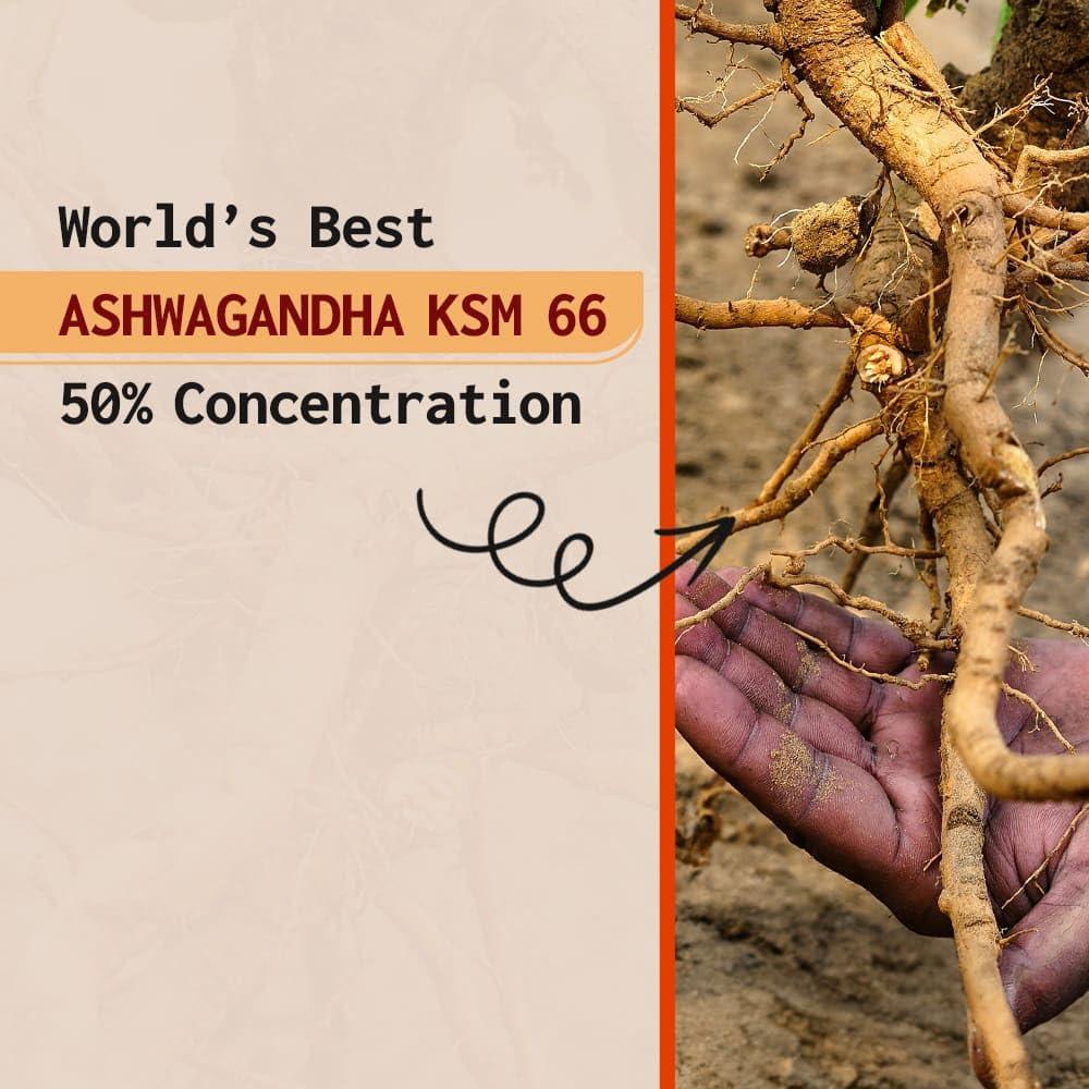 S.K. Health Care AyuZest Ashwagandha KSM-66 Snooze Gummies 3600mg Sleep Support & Stress Reduction, Promotes Relaxation & Recovery, 60 Count For Men & Women (Pack of 1)