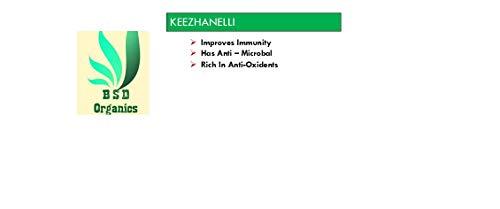 BSD Organics BSD Organics Herby Dried Keezhanelli Leaves / Bhumyamalaki / Phyllanthus niruri Leaves granules- 500 Gram