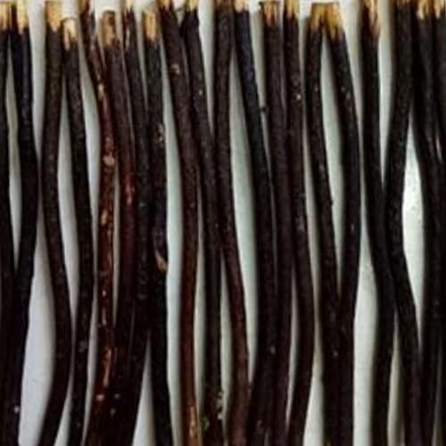 Generic Zaitoon olive Herbal Miswak Natural Toothbrush Sticks/Eco Friendly Chewing Sticks/Healthy Manual Toothbrush(Pack of 3 Stick)