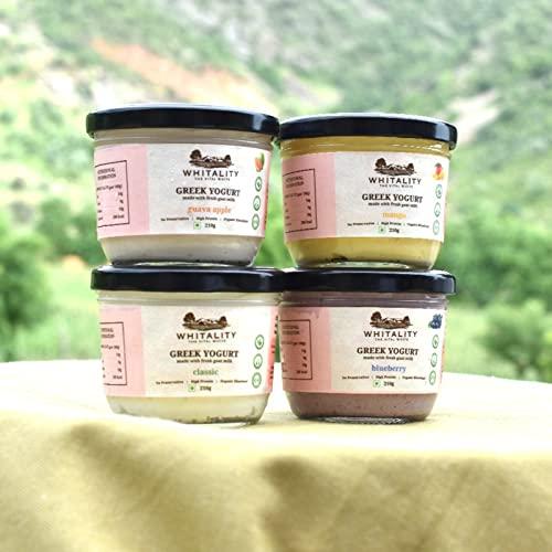 WHITALITY Whitality Greek Yogurt | Made with Free Range Goat Milk | No Preservatives | Natural processing | Good for lactose intolerant | improves gut health | Glass Jar Packaging | 210gm | Blueberry
