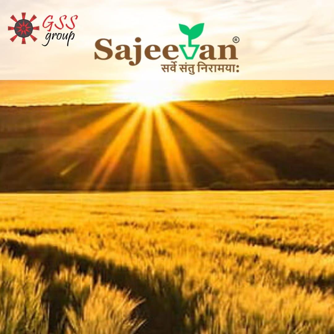 Sajeevan Certified Organic Black Turmeric Powder | NPOP RSOCA Jaivik Bharat | Non GMO | Kali Haldi | Natural, Premium Indian Spices 100gm