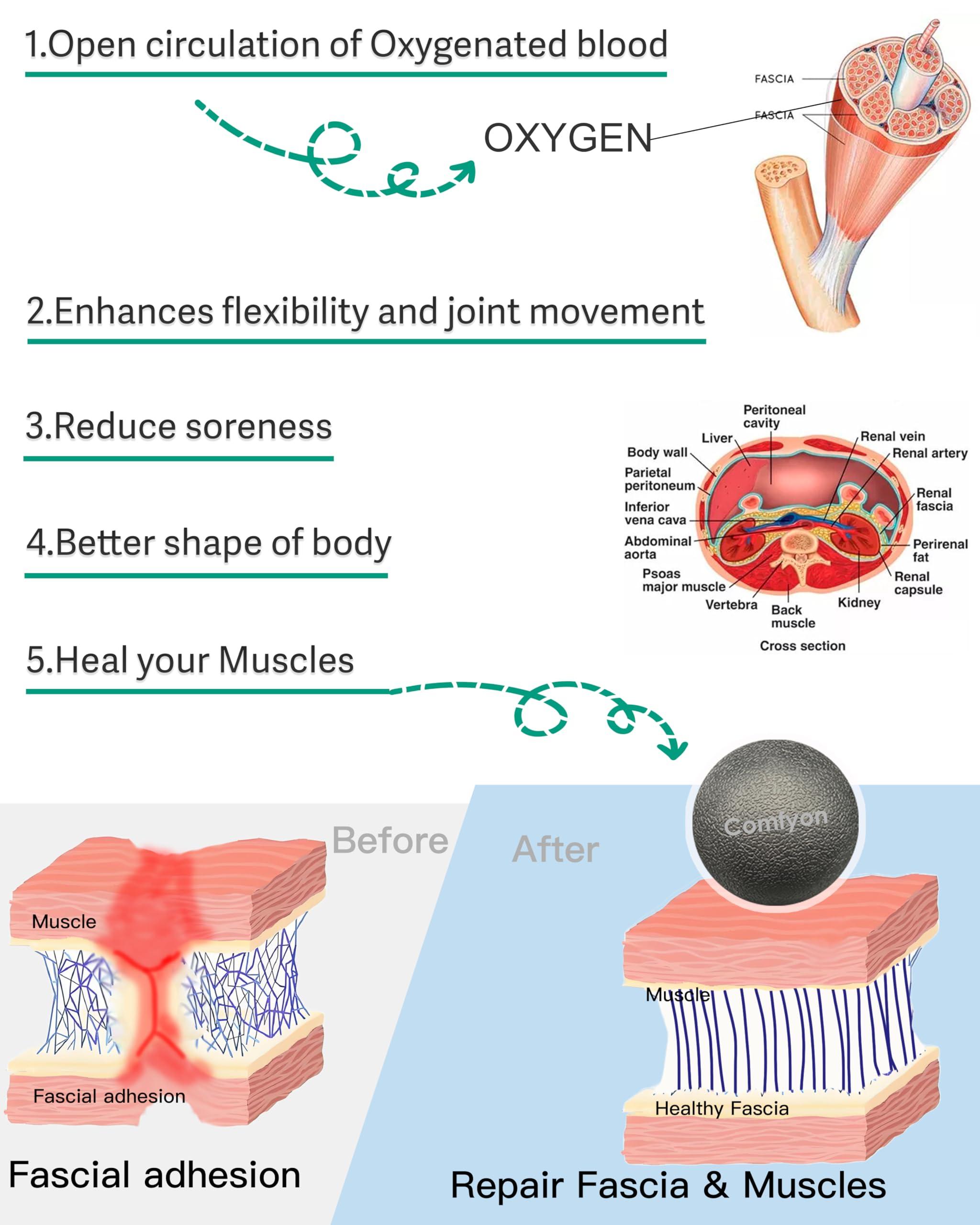 N\C Comfyon Massage Lacrosse Balls For Myofascial Release, Deep-Tissue Massage, Sore Muscles, Trigger Point Therapy, Muscle Knots, Targeted Foot Pain Relief And Yoga Therapy