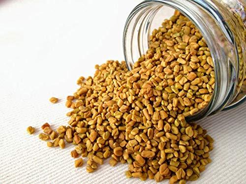 MINI MALL SUPER MARKET MiniMall Super Market Whole Fenugreek Seeds/Whole Methi Dana Seeds (500 Gm)