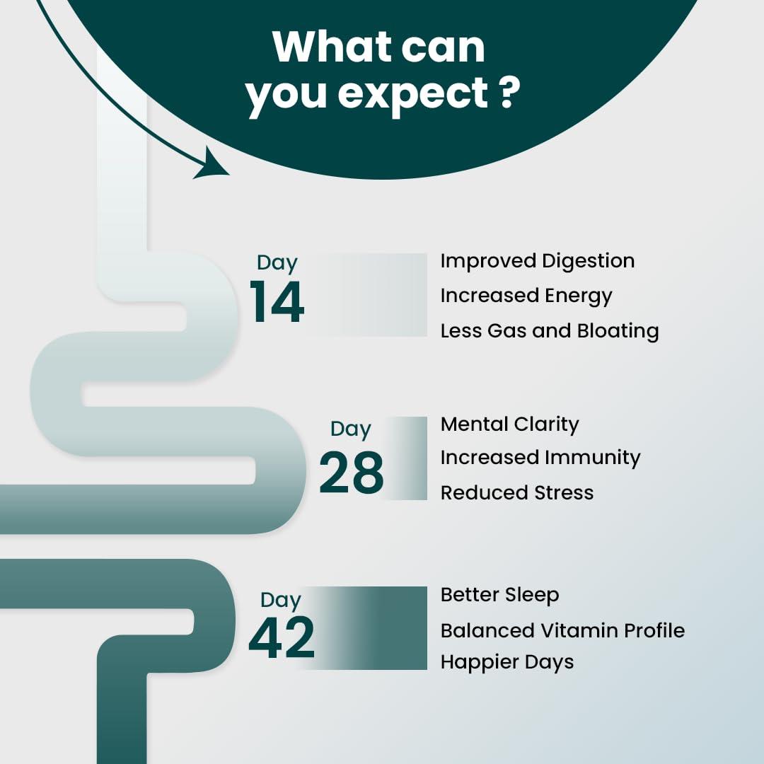 SUPPLY6 Supply6 360 Ultimate Health Powder for Women and Men | Comprehensive Daily Supplement with 63+ Vitamins, Minerals, Probiotics, and Superfoods | Supports Gut Health, Energy, Immunity