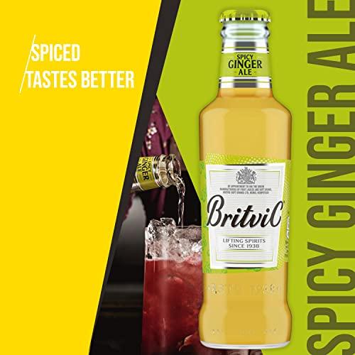 Britvic Britvic Ginger Ale, 200 ml
