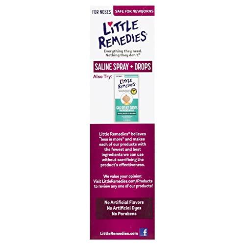 Little Remedies Little Remedies Little Noses Saline Spray Drops - 1 Fl Oz (Pack Of 2)