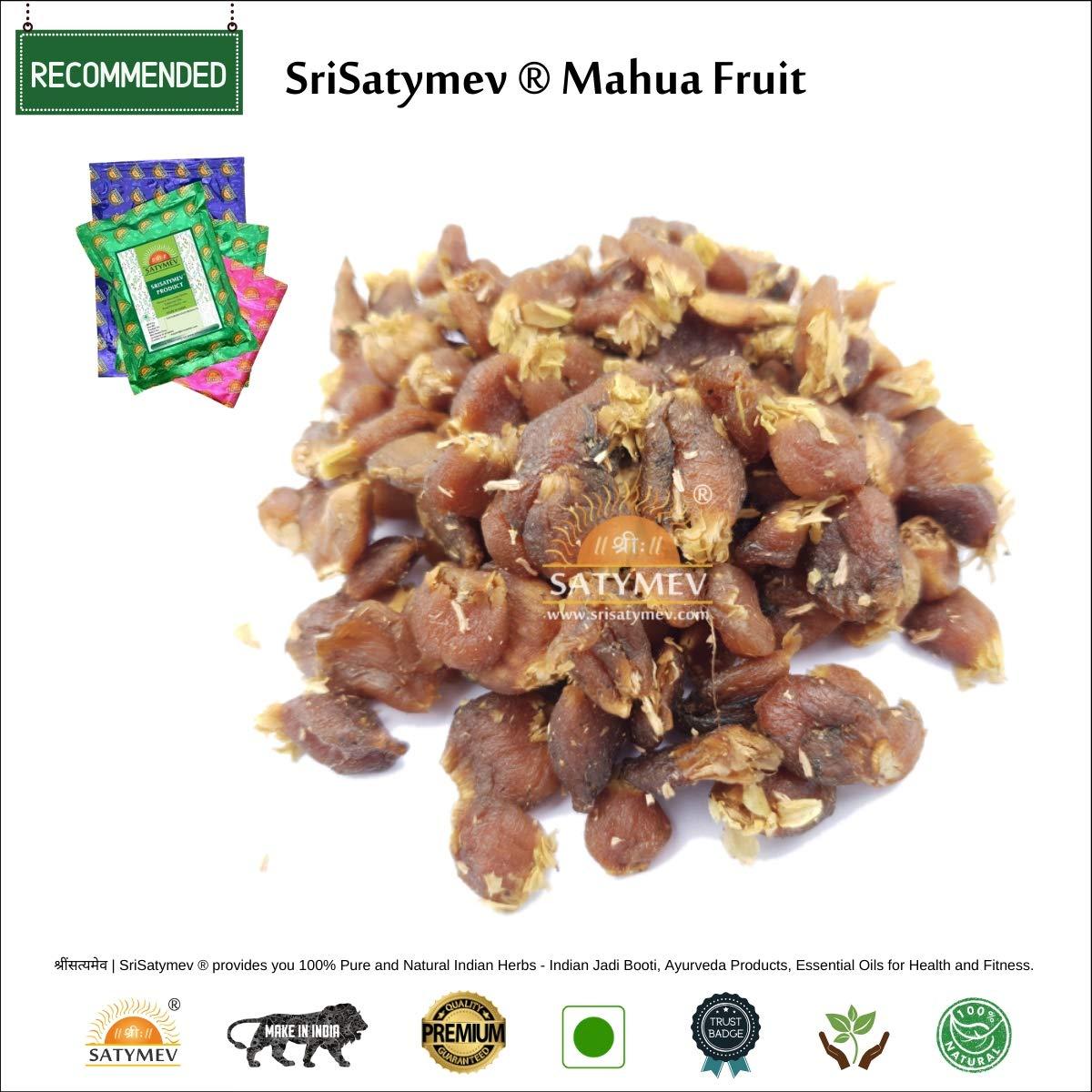 SriSatymev SriSatymev Mahua Fruit (Madhuca longifolia) -100gms