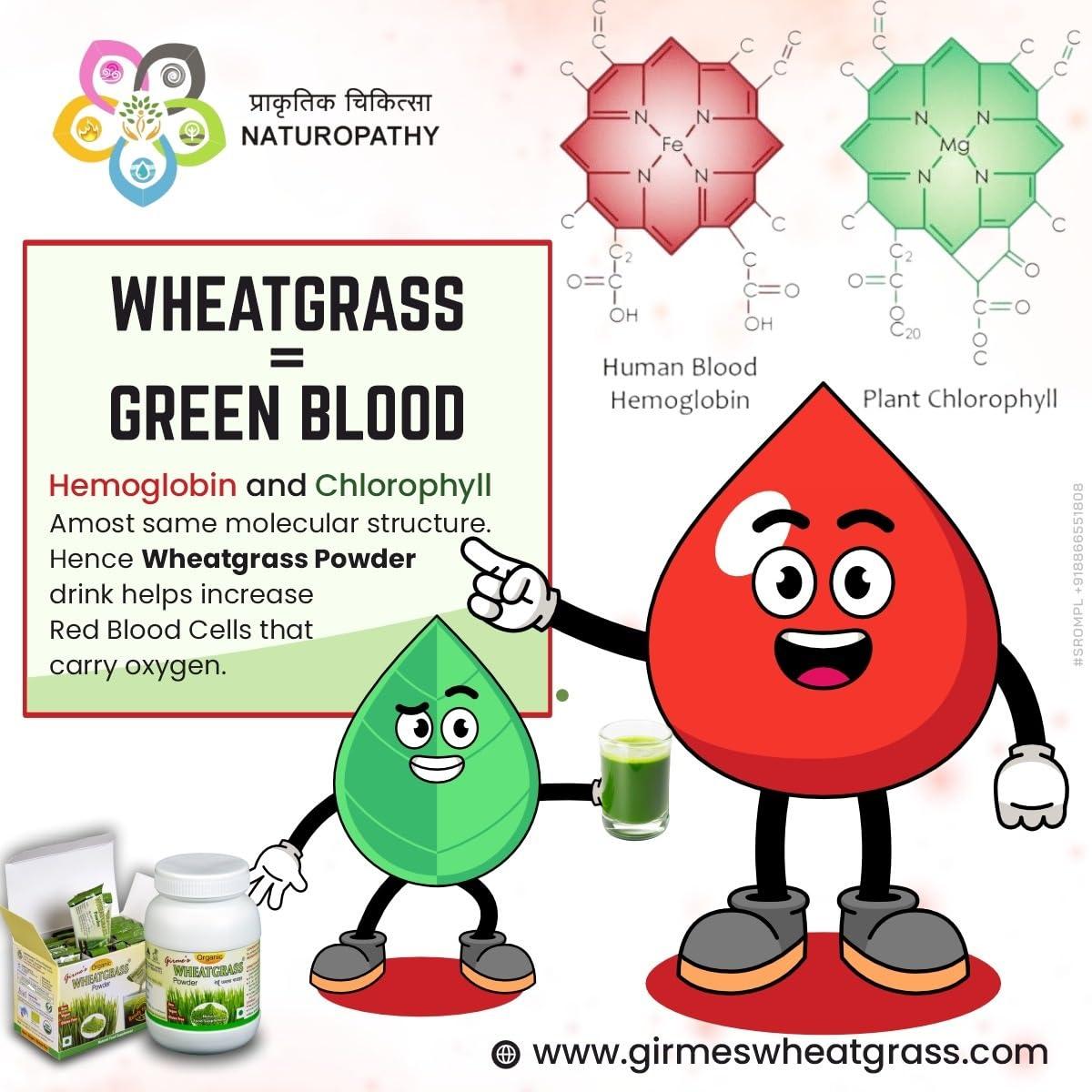 Girme\'s Wheatgrass Girme\'s Wheatgrass Powder 100g Pouch (Pack of 4)